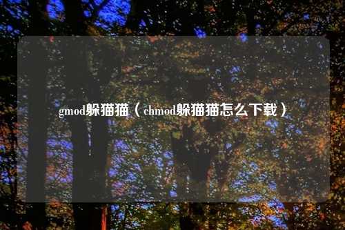 gmod躲猫猫（chmod躲猫猫怎么下载）