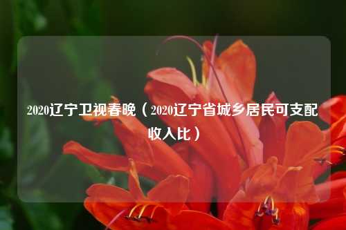 2020辽宁卫视春晚（2020辽宁省城乡居民可支配收入比）