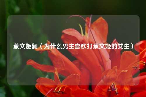 蔡文姬澜(为什么男生喜欢打蔡文姬的女生)