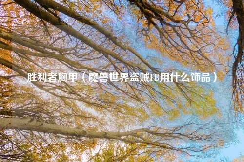 胜利者胸甲（魔兽世界盗贼FB用什么饰品）