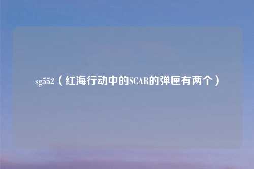 sg552(红海行动中的SCAR的弹匣有两个)