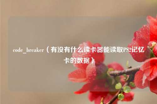 code_breaker（有没有什么读卡器能读取PS2记忆卡的数据）