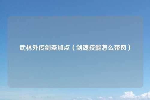 武林外传剑圣加点（剑魂技能怎么带风）