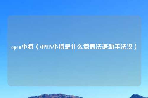 open小将（OPEN小将是什么意思法语助手法汉）