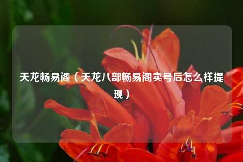 天龙畅易阁(天龙八部畅易阁卖号后怎么样提现)