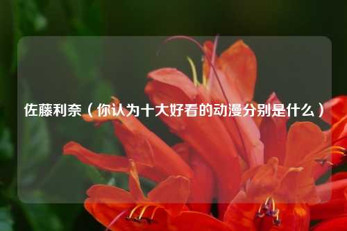 佐藤利奈（你认为十大好看的动漫分别是什么）