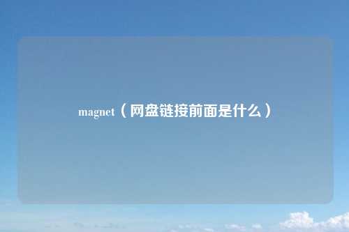 magnet(网盘链接前面是什么)