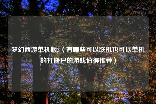 梦幻西游单机版3（有哪些可以联机也可以单机的打僵尸的游戏值得推荐）
