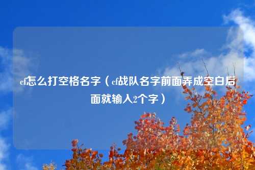 cf怎么打空格名字（cf战队名字前面弄成空白后面就输入2个字）