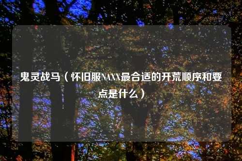 鬼灵战马(怀旧服NAXX最合适的开荒顺序和要点是什么)