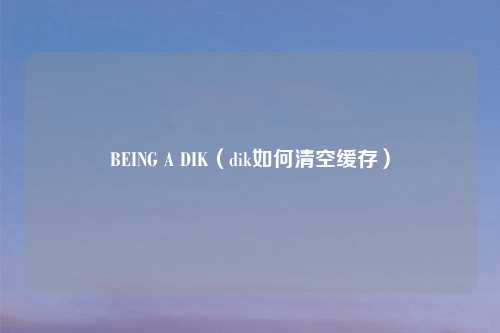 BEING A DIK(dik如何清空缓存)