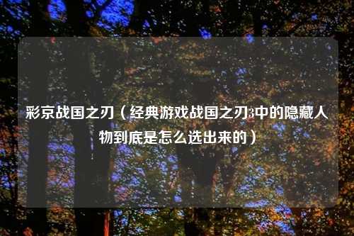 彩京战国之刃（经典游戏战国之刃3中的隐藏人物到底是怎么选出来的）