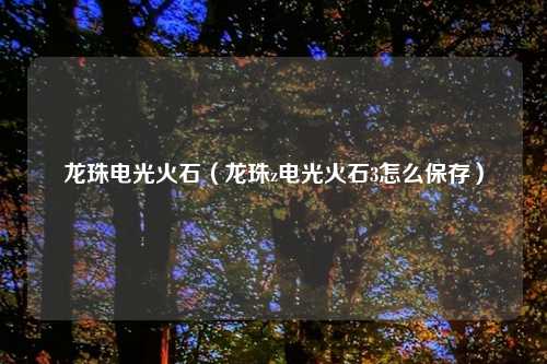 龙珠电光火石（龙珠z电光火石3怎么保存）