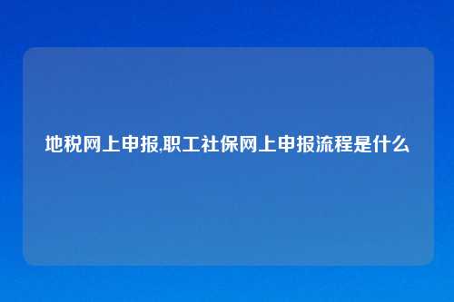 地税网上申报,职工社保网上申报流程是什么