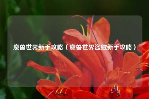 魔兽世界新手攻略（魔兽世界盗贼新手攻略）