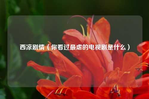 西凉剧情(你看过最虐的电视剧是什么)
