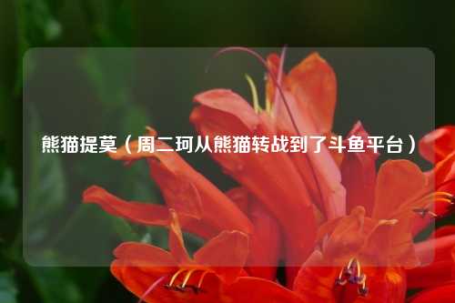 熊猫提莫（周二珂从熊猫转战到了斗鱼平台）