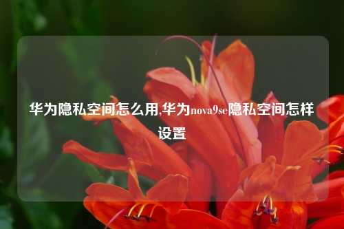 华为隐私空间怎么用,华为nova9se隐私空间怎样设置