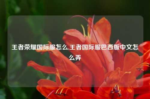 王者荣耀国际服怎么,王者国际服巴西版中文怎么弄