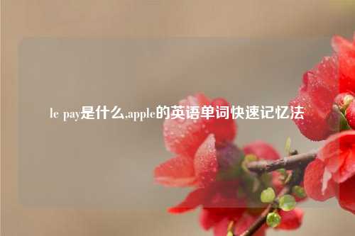 le pay是什么,apple的英语单词快速记忆法