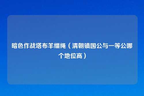 暗色作战塔布羊缰绳(清朝镇国公与一等公哪个地位高)