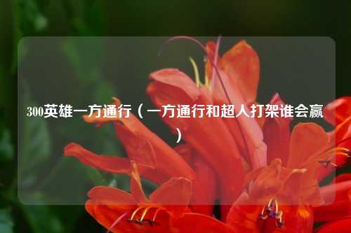 300英雄一方通行(一方通行和超人打架谁会赢)