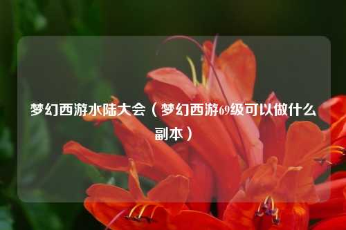 梦幻西游水陆大会（梦幻西游69级可以做什么副本）