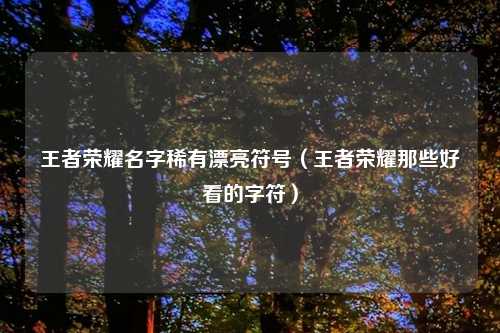 王者荣耀名字稀有漂亮符号（王者荣耀那些好看的字符）