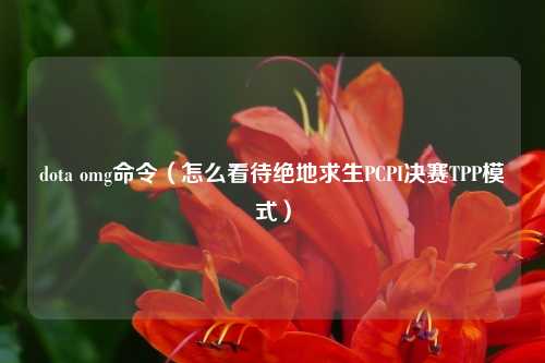 dota omg命令（怎么看待绝地求生PCPI决赛TPP模式）