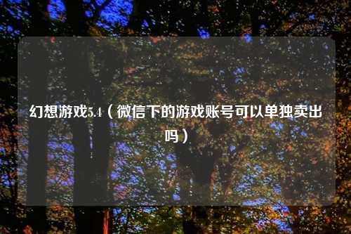 幻想游戏5.4（微信下的游戏账号可以单独卖出吗）