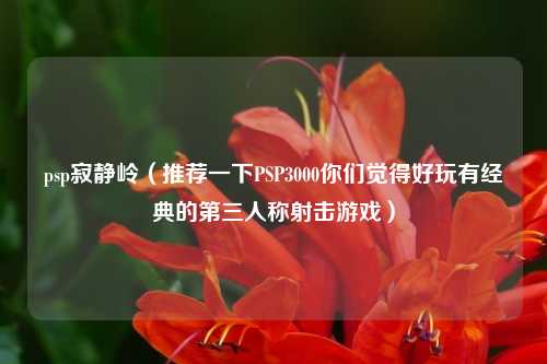 psp寂静岭（推荐一下PSP3000你们觉得好玩有经典的第三人称射击游戏）