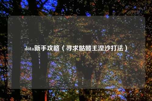 dota新手攻略（寻求骷髅王涅沙打法）