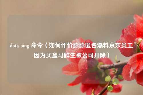 dota omg 命令（如何评价脉脉匿名爆料京东员工因为买盒马鲜生被公司开除）