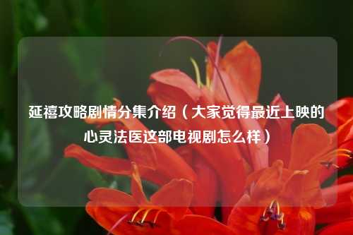 延禧攻略剧情分集介绍(大家觉得最近上映的心灵法医这部电视剧怎么样)