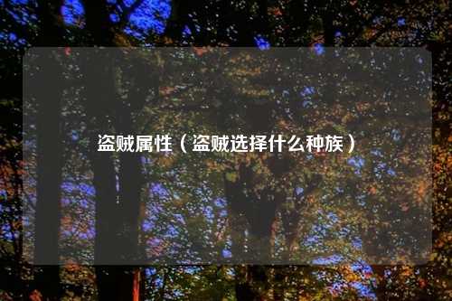 盗贼属性（盗贼选择什么种族）