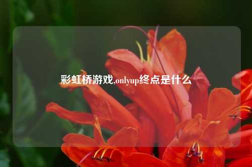 彩虹桥游戏,onlyup终点是什么