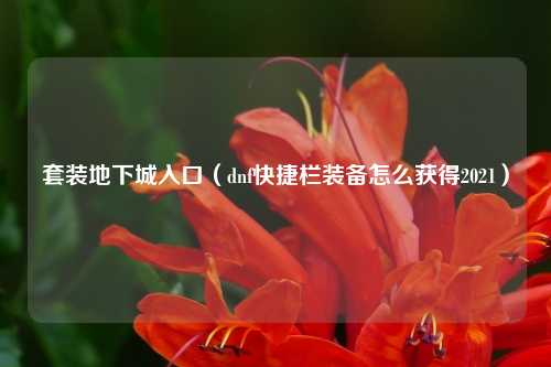 套装地下城入口（dnf快捷栏装备怎么获得2021）