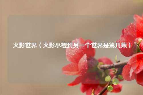 火影世界（火影小樱到另一个世界是第几集）