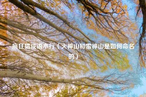 疯狂猜成语木行(火神山和雷神山是如何命名的)