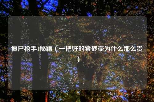 僵尸枪手1秘籍（一把好的紫砂壶为什么那么贵）