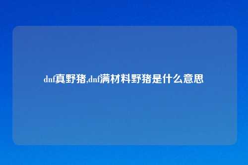 dnf真野猪,dnf满材料野猪是什么意思
