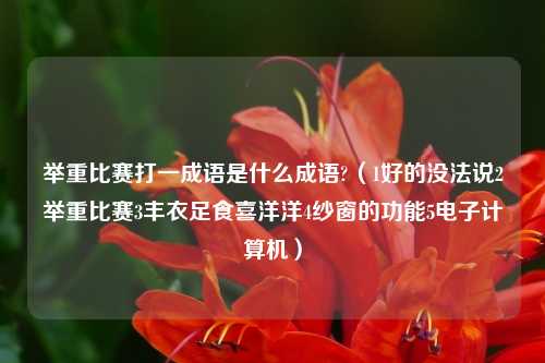 举重比赛打一成语是什么成语?（1好的没法说2举重比赛3丰衣足食喜洋洋4纱窗的功能5电子计算机）