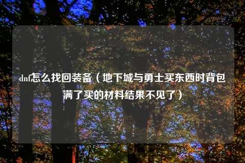 dnf怎么找回装备（地下城与勇士买东西时背包满了买的材料结果不见了）