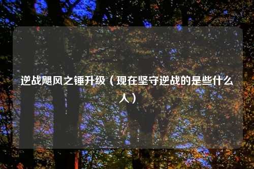 逆战飓风之锤升级（现在坚守逆战的是些什么人）