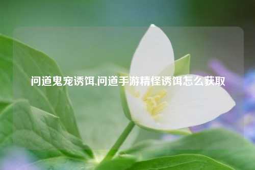 问道鬼宠诱饵,问道手游精怪诱饵怎么获取