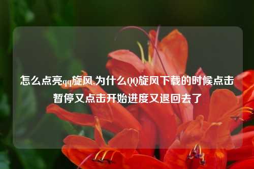 怎么点亮qq旋风,为什么QQ旋风下载的时候点击暂停又点击开始进度又退回去了