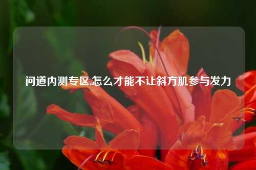 问道内测专区,怎么才能不让斜方肌参与发力