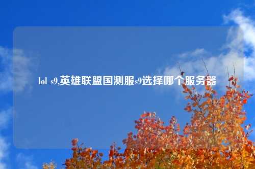 lol s9,英雄联盟国测服s9选择哪个服务器