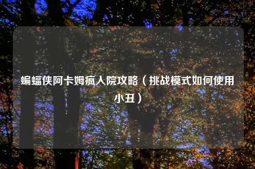 蝙蝠侠阿卡姆疯人院攻略（挑战模式如何使用小丑）