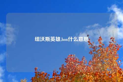 纽沃斯英雄,hon什么意思